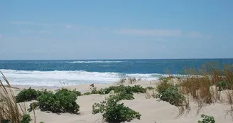 Plage de la Salie Nord Plage de la Salie Nord