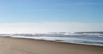 Plage-Hourtin