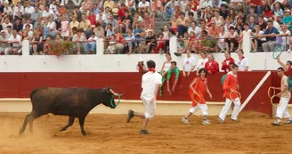 Ganaderia Maynus_11