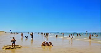 Plage nord-Messanges-Landes Atlantique Sud Plage nord-Messanges-Landes Atlantique Sud