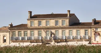 Vue Générale@DesVignesetDesAnges Vue Générale@DesVignesetDesAnges