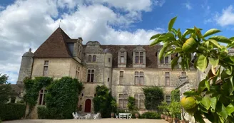 Château le Grand Verdus Château le Grand Verdus