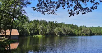 Etang de Laborde_6