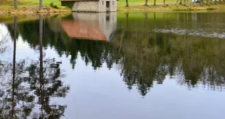 Etang de Laborde_7