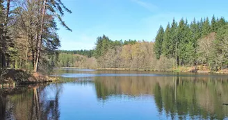 Etang de Laborde_8