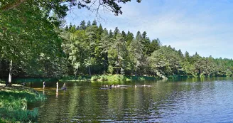 Etang de Laborde_1