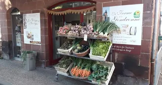 lesvergersdebourreges_meyssac_1