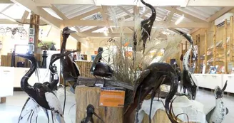 Boutique Estuaire Tourisme & Terres d'Oiseaux 600x800