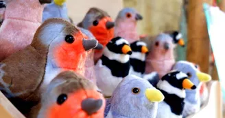 Boutique Estuaire Tourisme & Terres d'Oiseaux 800x600