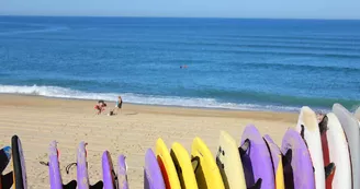 Natural surf lodge aout 2016 ©Seignosse tourisme (14)