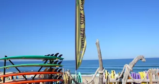 Natural Surf School 2016