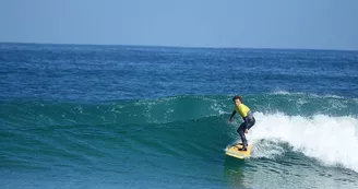 ©Natural Surf School 2023