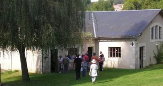 Aquariums du Lavoir_2