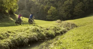 Vélos électriques à Camou - Soule