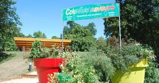 Aire de loisirs_4
