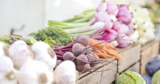 vegetables-1948264_1920