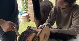 Carding alpaca