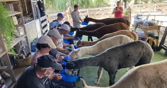 Group visit special needs
