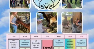 Programme alpagas été 2026