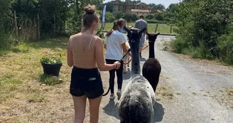 sanzay-la-petite-ferme-alpagas-balade