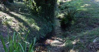 le-jaure--17-