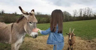 Parc du Griffon 2