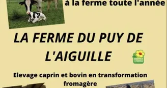 ferme du puy de l'aiguille_3 ferme du puy de l'aiguille_3