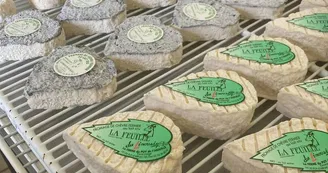 fromages_1 fromages_1