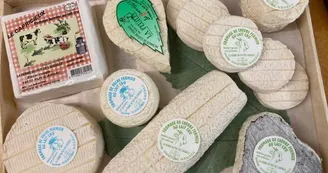plateau de fromages_2 plateau de fromages_2