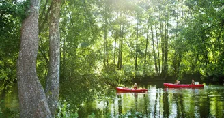 Campagne AdobeStock_232618656