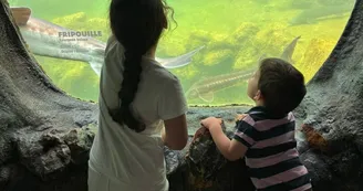 4. Plus grand Aquarium d'Europe 4. Plus grand Aquarium d'Europe