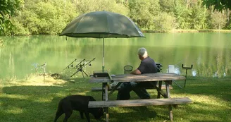 Les Etangs du Bos Les Etangs du Bos