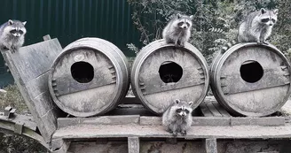 Zoo de Mescoules (6)