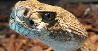 Zoo de Mescoules (7)