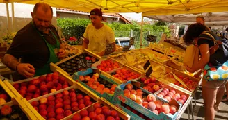 Marche-Lacanau-Ocean-stand