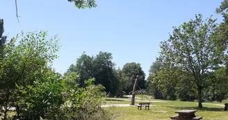 20200529_130051