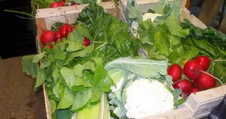 Ferme Coumet - Panier de légumes Ferme Coumet - Panier de légumes