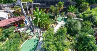 Jungle-Golf
