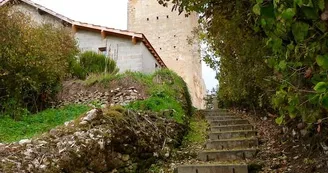 chemin montant1- Sirtaqui