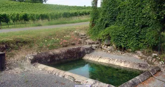 Lavoir des Mangons - Pineuilh - Patrice Coutaud
