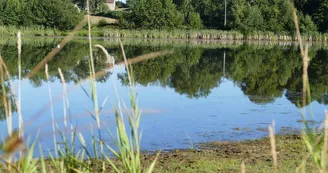Plan d'eau de la Naute_2