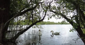 Base nautique Longueil Sainte Marie(1)