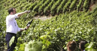 Sabrage vigne © Emmanuel goulet.jpg