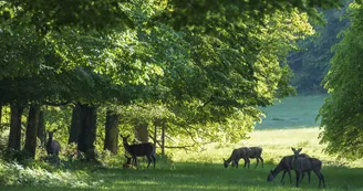 3 © Pascal Bourguignon.JPG 3 © Pascal Bourguignon.JPG