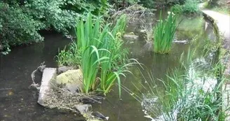 Géocaching