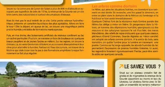 Observatoire du lac de la Gourde