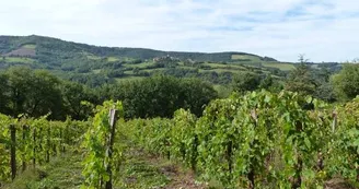 Domaine de Belert
