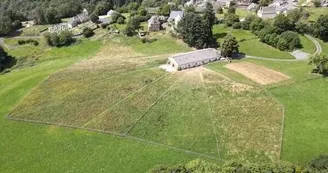 Safran de Murols - Ferme de Murols