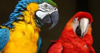 Paco & Rita