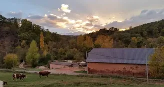 Ferme des Aza Lait